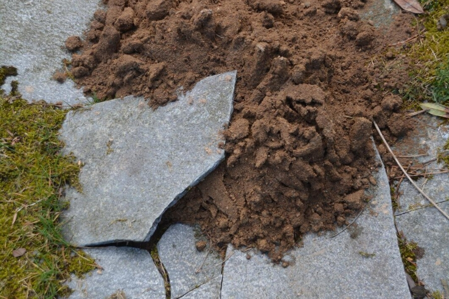 soil-stabilization-sarasota-fl-06